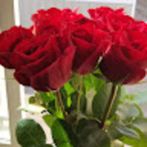 Meet your Posher, Hello